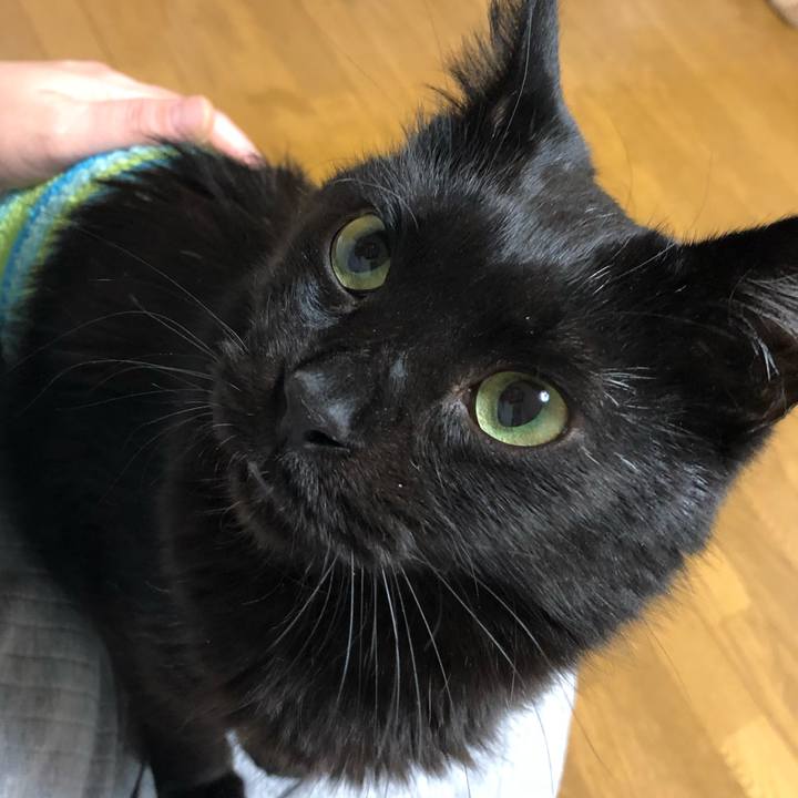 F49d2192 29a6 42f1 8cde 688571eb8461 1582927044890