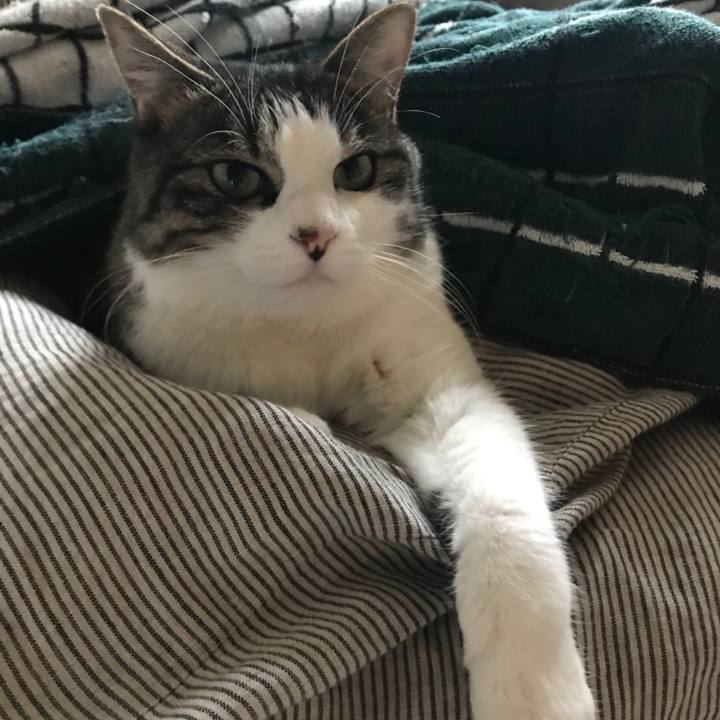 F49d5793 993a 49e0 a914 ee7638c76bd0 1513335235909