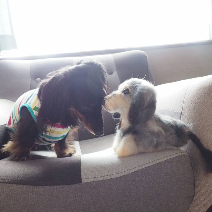 F49d58b5 debb 4895 b309 f856ae10e0d1 1528420716428