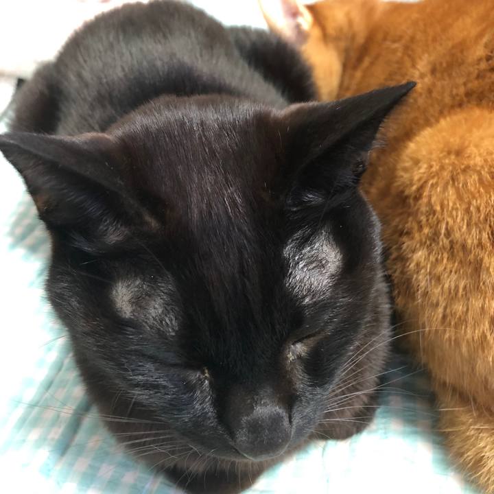 F49d7638 25b7 47aa 9c53 be68e753e03f 1737757505047