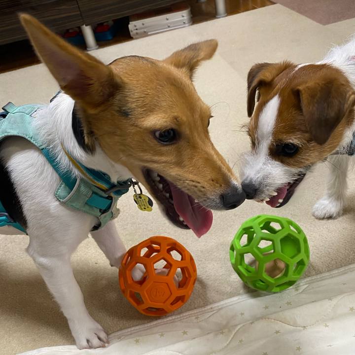 F49d7ab9 6291 4c7a b024 ef325501e389 1754308342505