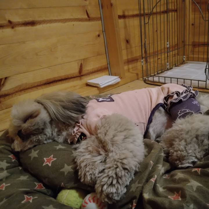 F49d999b ffab 4dc6 a009 861ea6479067 1619503525936