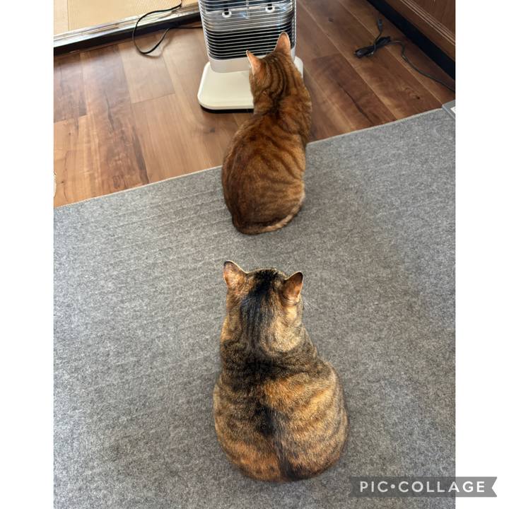 F49dabdf ba23 4b7f 84cd 8810aab5862d 1773457908433