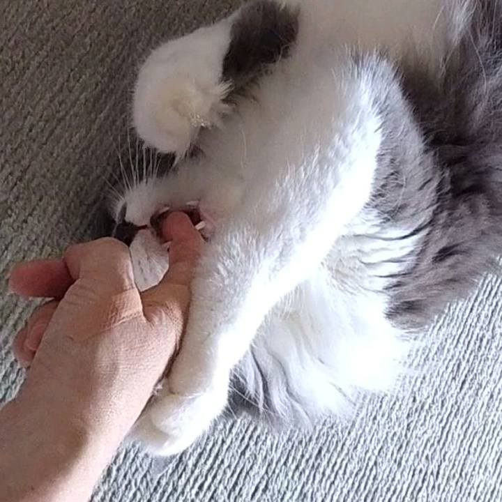 F49daf2f b3a8 4bde 89f3 d2576d46ba64 1757200487222