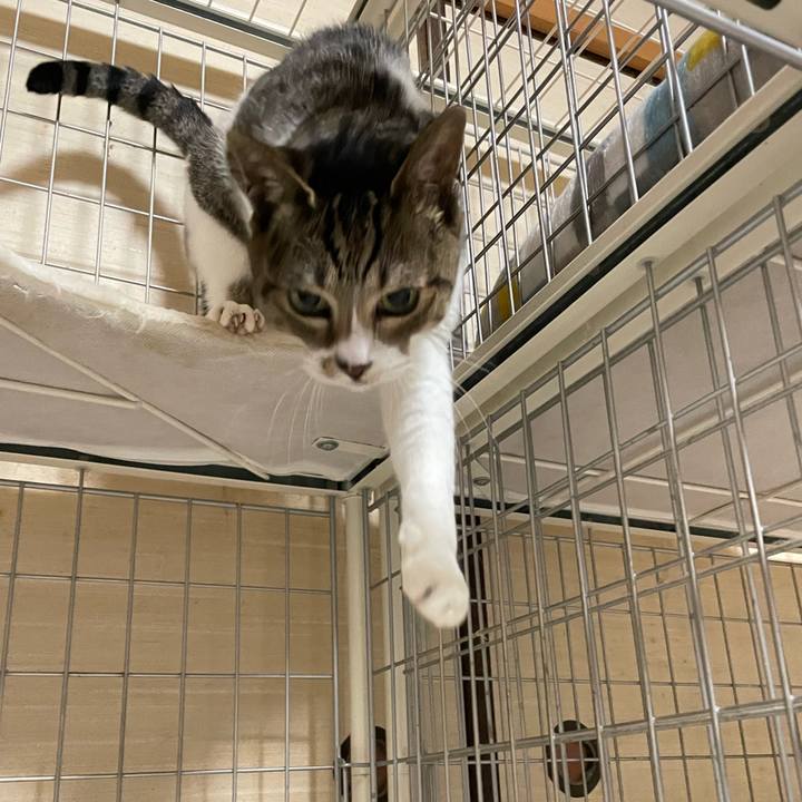 F49dbead e9d2 40bf a6ba b83f8fb606f0 1639099401589