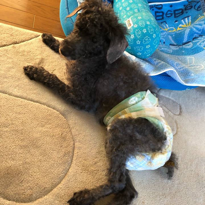 F49dd269 82da 4884 8d16 ffe58c3b9e99 1573213310874