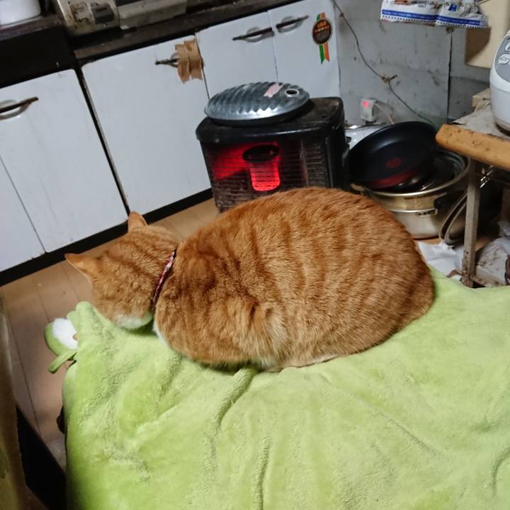 F49df333 b630 4a06 a226 836fe2e3350d 1608413844191