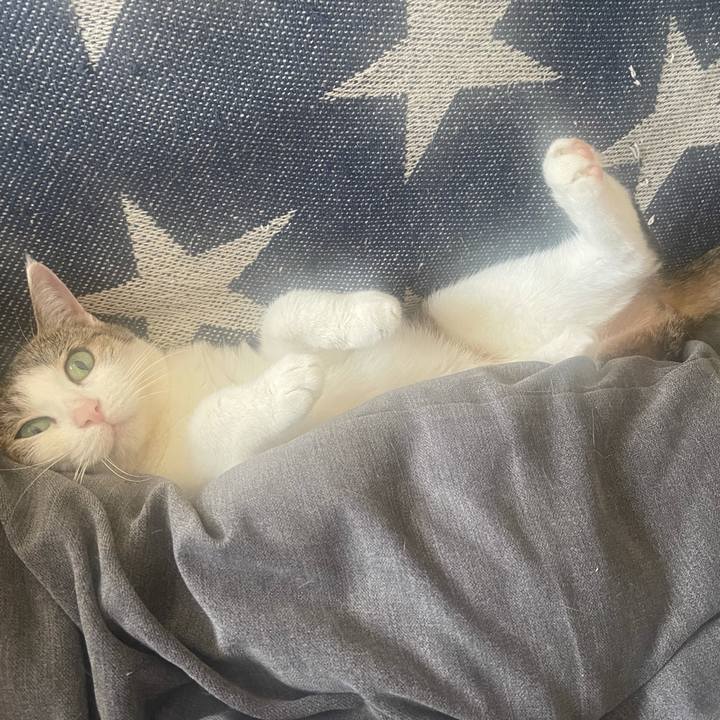 F49dfb3c f0e9 4055 926b 0fdc3741bdef 1633157163668