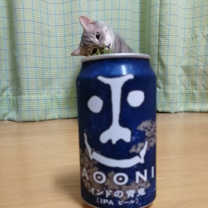 F49e0e84 c38c 4c24 bfab f99fc33c6e97 1553954981063