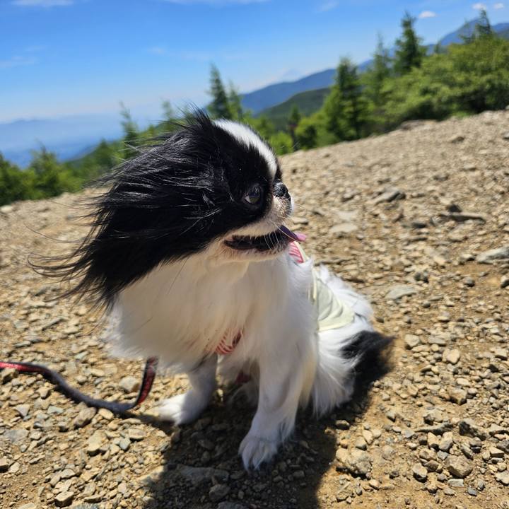 F49e23b0 7cc2 48db b1a7 342970a42c8d 1720179672712