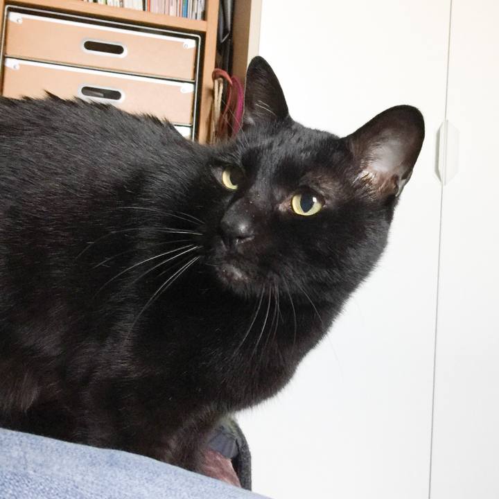 F49e5703 aa0b 4d91 b6c1 6092e19e9d82 1586057413357