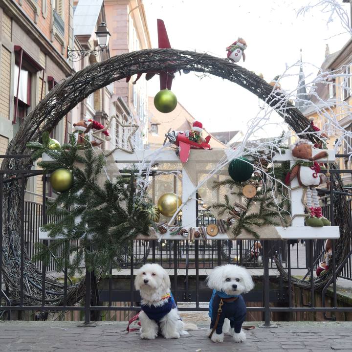 F49e71f6 0514 4f11 93e5 eb289ed939ff 1767301184849