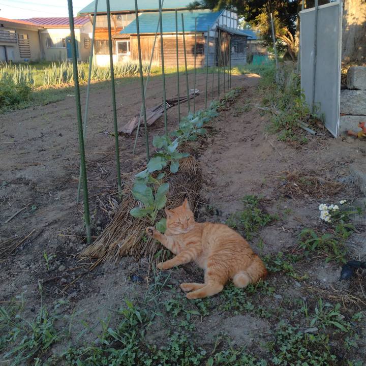 F49e8341 1145 46f1 9139 92167a2aff40 1692744606731