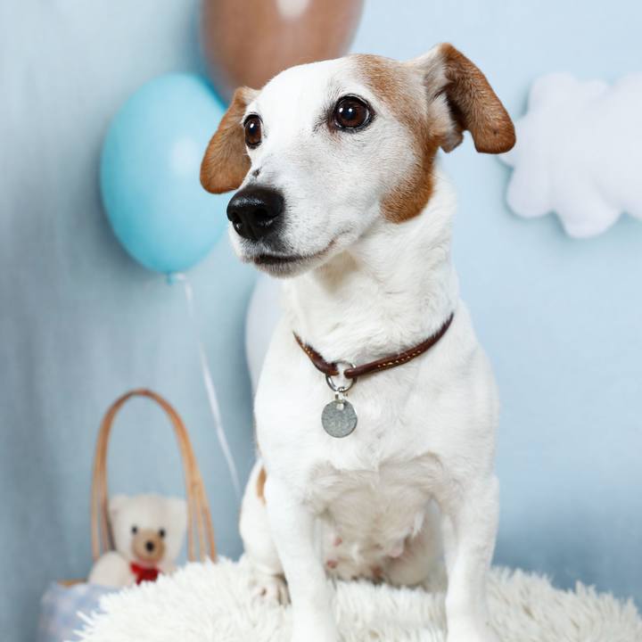 F49e879a 60bf 49eb aa2b a779e98e5f00 1758687554092