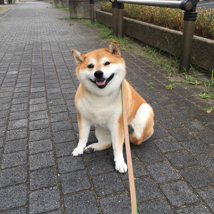 F49eafd9 dd43 4144 9d3b a38cf719cff4 1597705259243