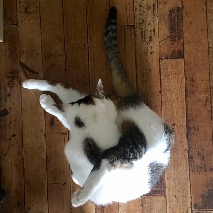 F49ebf07 9a91 4786 9245 152184bb30d8 1541404079011