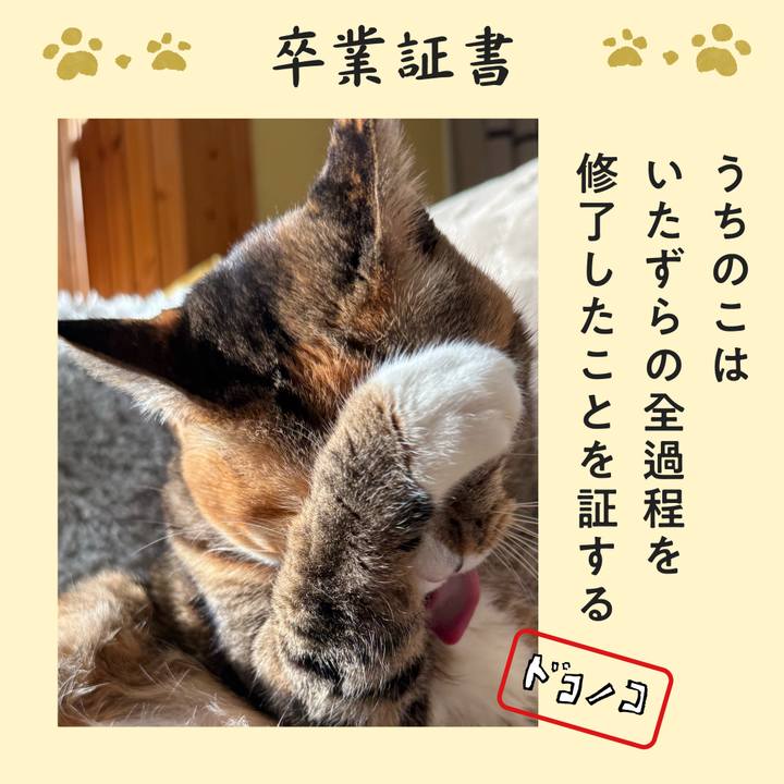 F49ef2b0 6e07 4336 9840 34e9422a5058 1771824599408