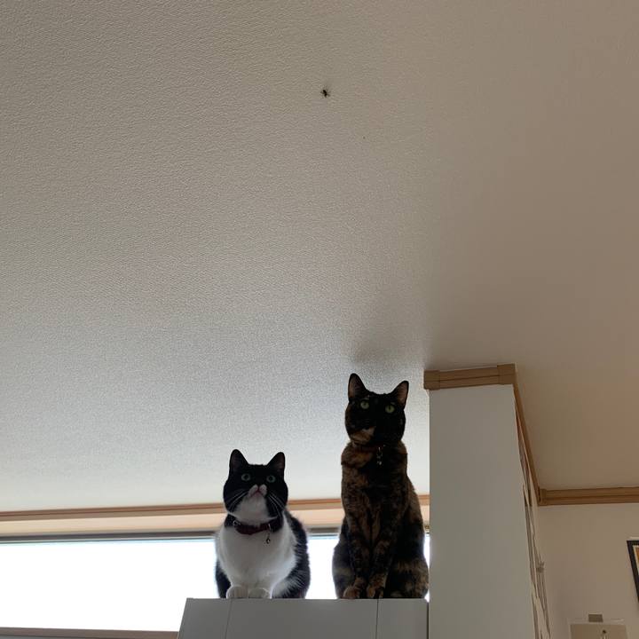 F49f2024 3ebe 4e89 a918 4e83deb656f6 1589271496496