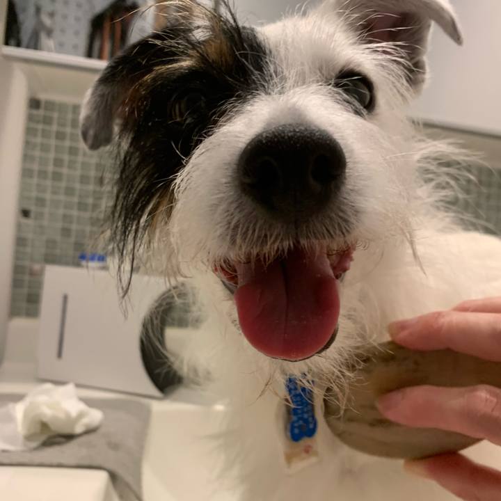 F49f2c1b b966 4b1c 9c13 da514e52a5c6 1628326732713