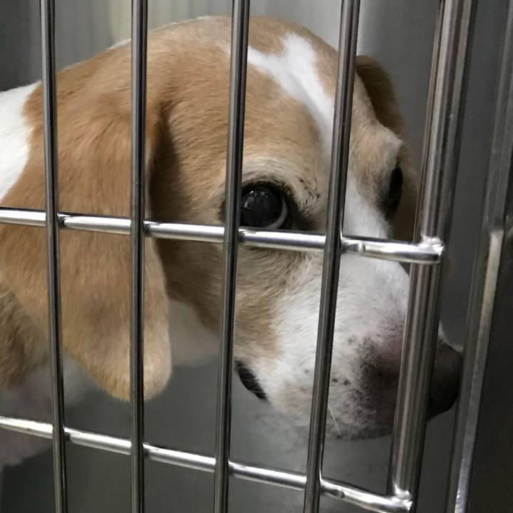 F49f4c6f 63e9 446c bd9b f9b4d90e85f1 1508597340664