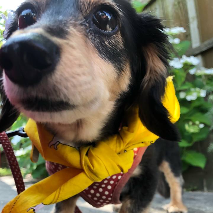 F49f6217 929f 42d6 871c 930b95b8c073 1591667759733