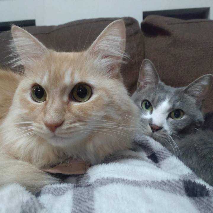 F49f7b2d eefa 4bd7 91f5 e0e7e60acecc 1734398378267