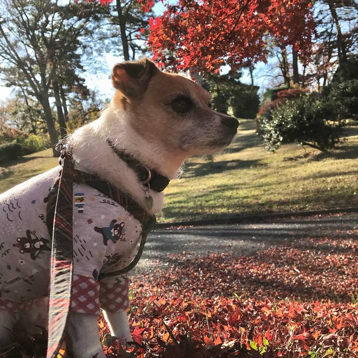 F49f9d96 631d 44ab 8ff1 182688722901 1574989349929