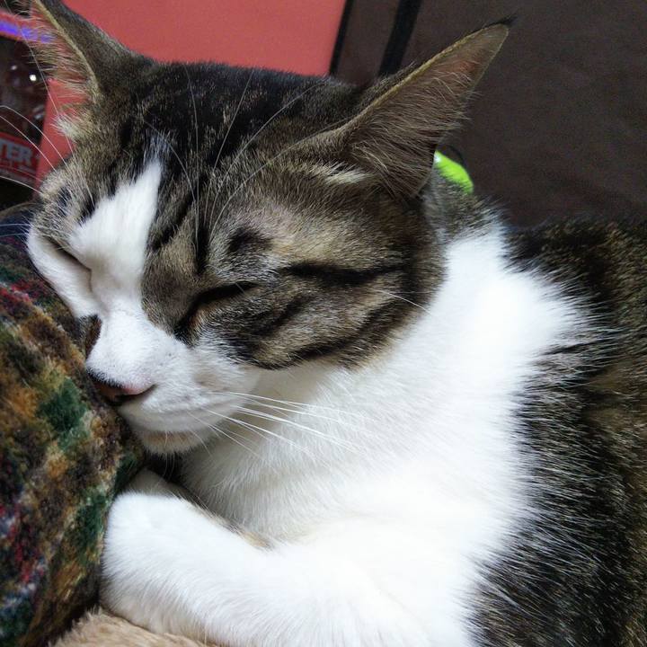 F49fa4ff 590b 4ff4 9271 b1318f370ca0 1643786653176