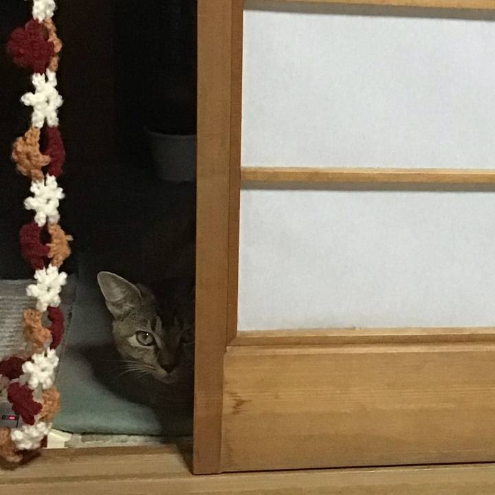 F49fc4f8 36bc 4b09 aba1 9685c0195629 1575970204823