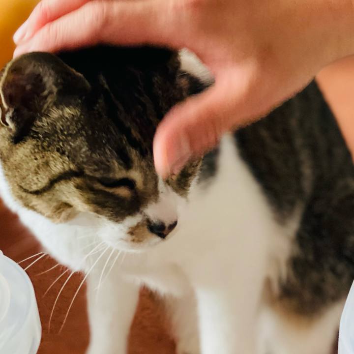 F49fe04d 8b2e 4ad9 9106 82c0178a5615 1614736442098