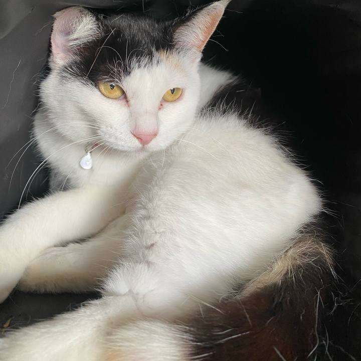 F49ff326 9013 483f a02c e4fa388bcb93 1652046108096