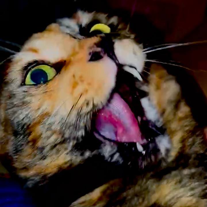 F49ff560 7cec 4f45 8aad 81381810ec13 1766261094951