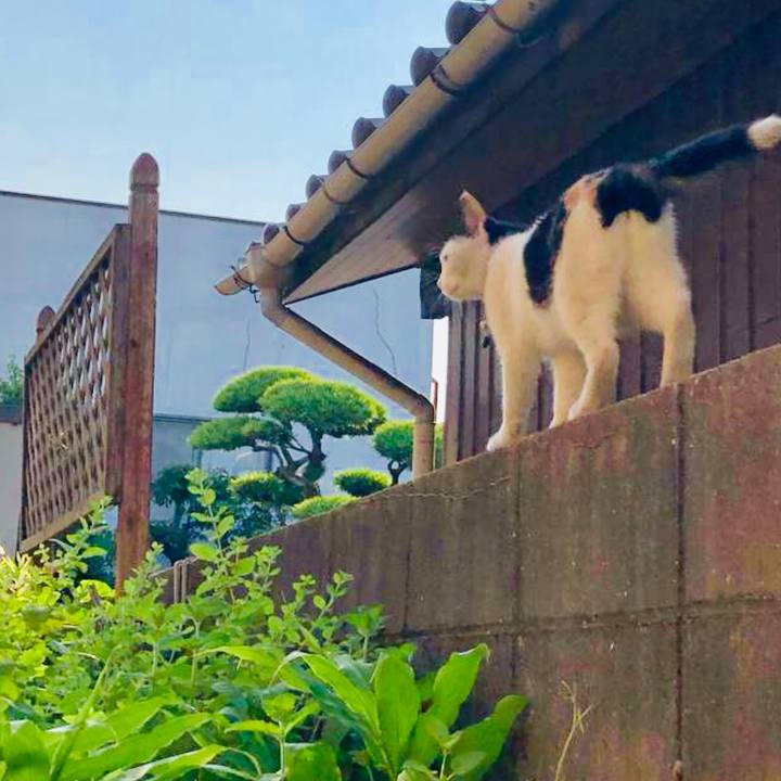 F4a03098 724e 46cb 9611 3388d0762407 1656811114533