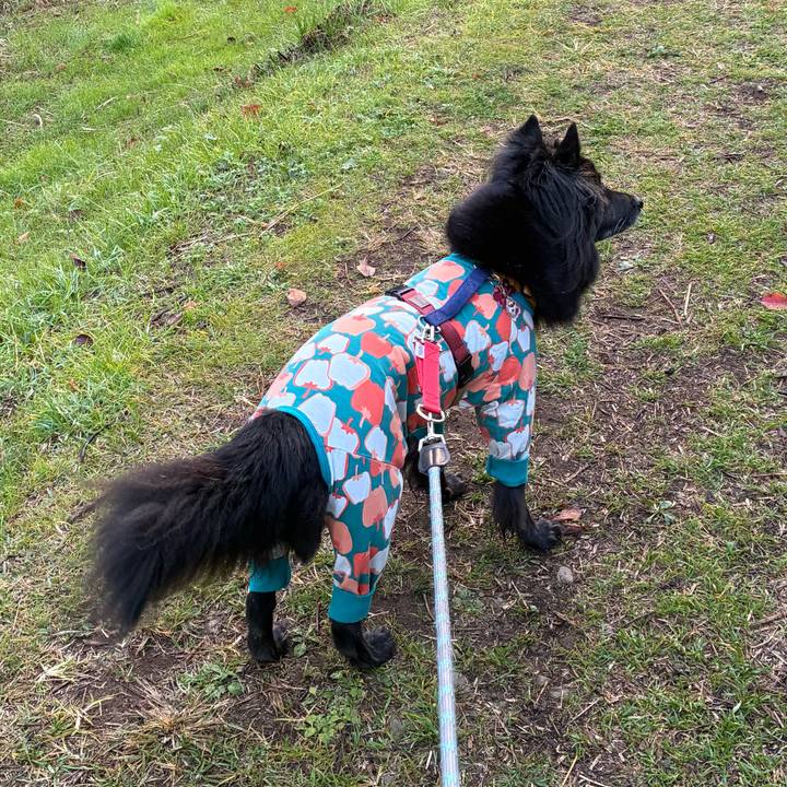 F4a08289 f6f1 40cb b9a7 58cd5441b333 1764202807454