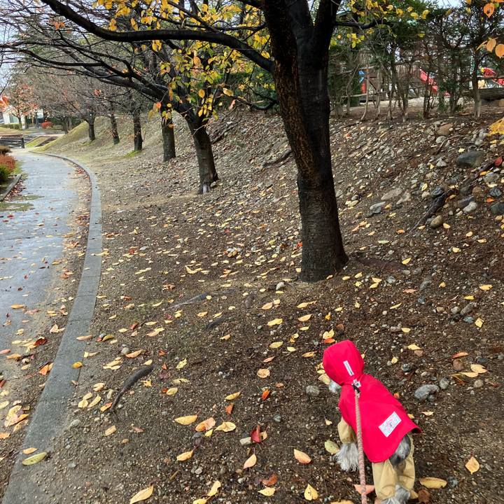 F4a0adee 3a16 45c6 947e 0d0010aa7abe 1732976110042