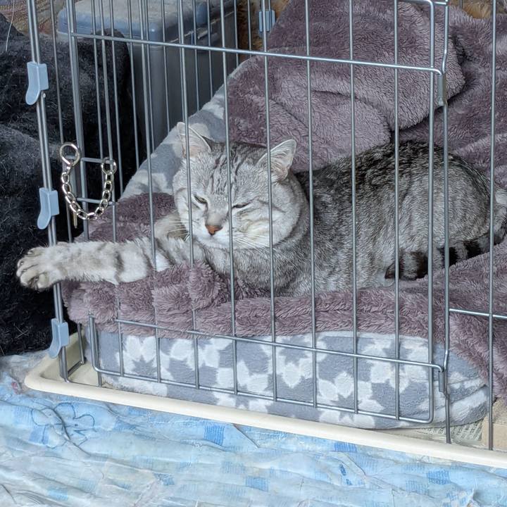 F4a0cbf0 0557 4114 a773 b40d9b8fd230 1752877887626