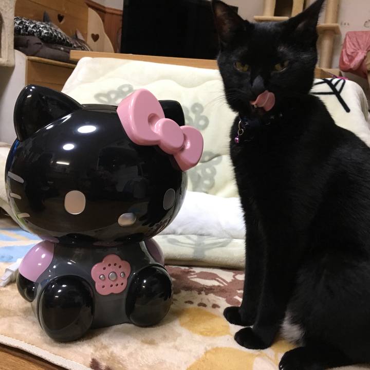 F4a0fffe e7a5 48a0 be37 64a58588fca2 1511346992906