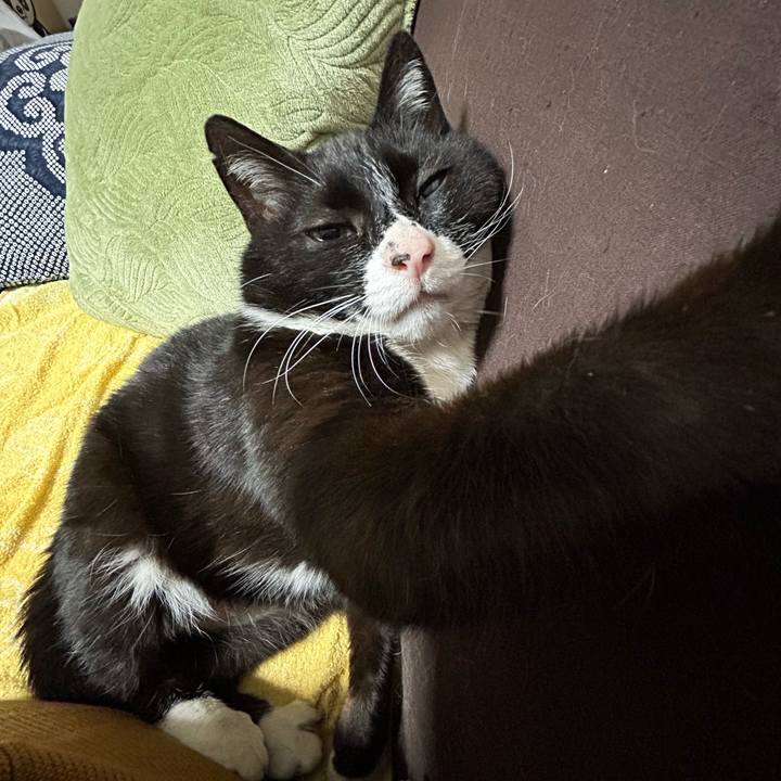 F4a112e2 3f09 4da0 9a0f 4a38ed79f8fa 1715090037561