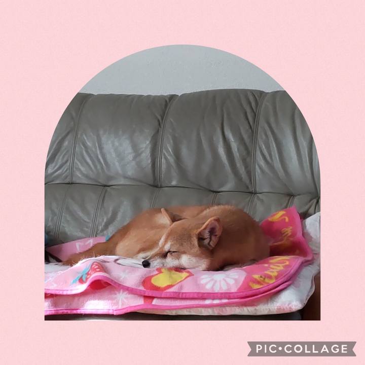 F4a157ef e649 46b2 9390 d62bf85c33e7 1729819481624