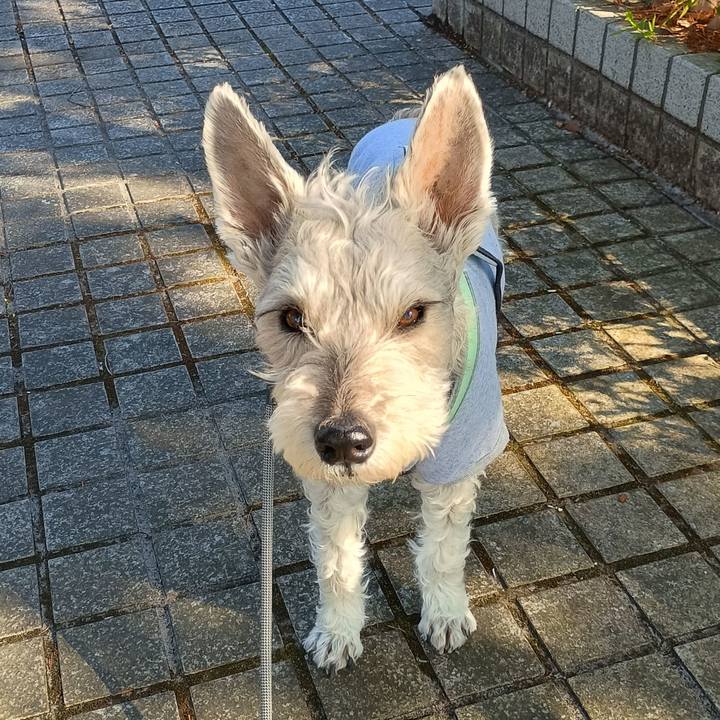 F4a15af8 3899 40d8 bc2a d9a9cb03d79b 1772713366966