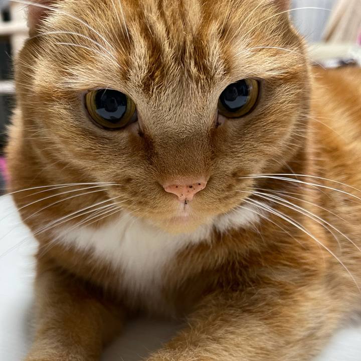 F4a16dcc 8e00 4a37 a3b3 d19c3aec4e0b 1640344406479