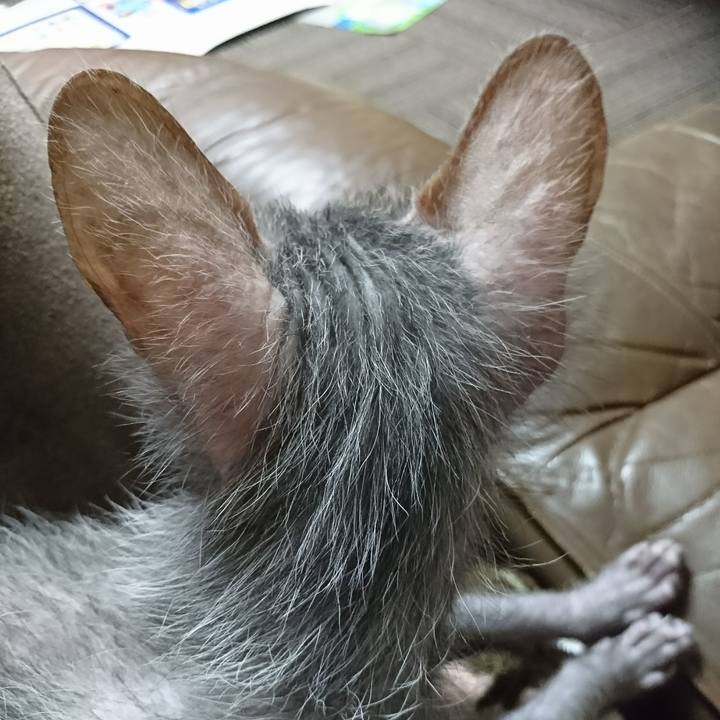 F4a1f966 2cbd 4eaa a860 1b55da159553 1515715882415