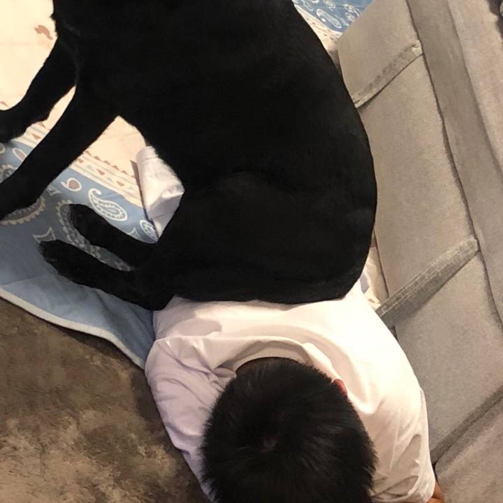 F4a1f9eb 9155 49db b8c2 1b40e67a74ac 1567389970473