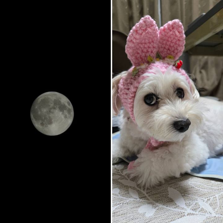 F4a215d9 3140 4a72 8e73 a2e29fe43f4b 1759761494861