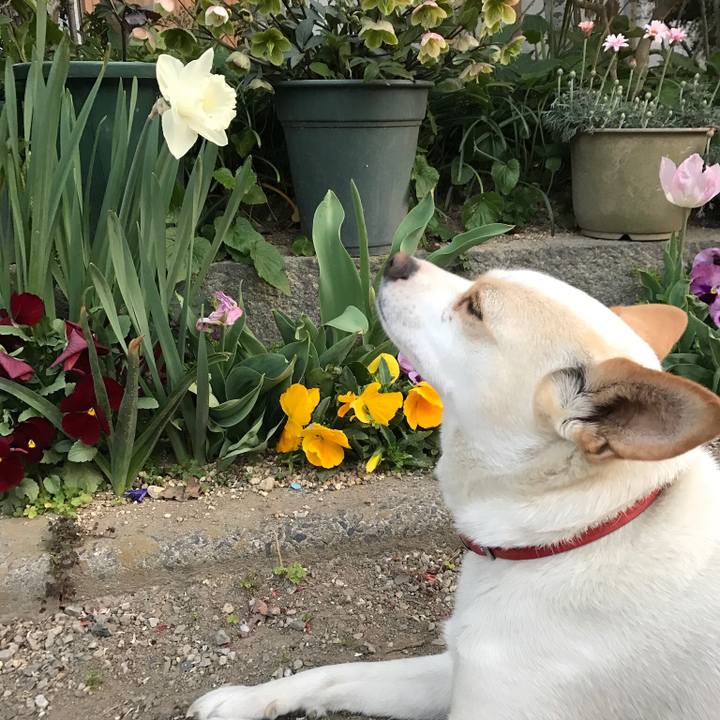 F4a22207 07f0 4692 a8cc 8ce070730a10 1554630882063