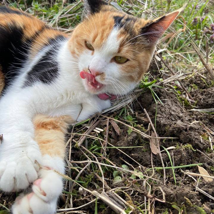 F4a22a37 6205 4b18 b3dc e0cbbace5a7e 1649054820269