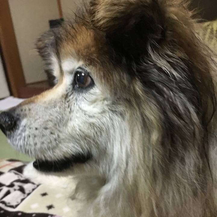 F4a23270 f0a0 4466 91a6 c71b242c791b 1569606934788