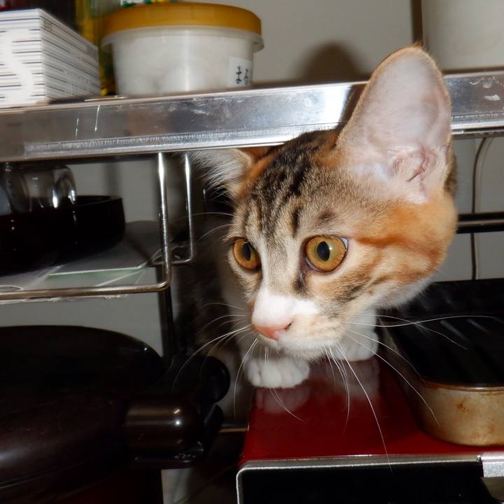 F4a28faf 6386 4cdd 806d f3e537017028 1633399476415