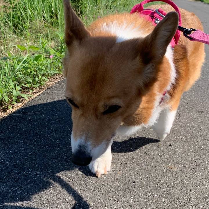 F4a2a3de c58d 47c3 88fc 8fdffaf25b20 1719015990711