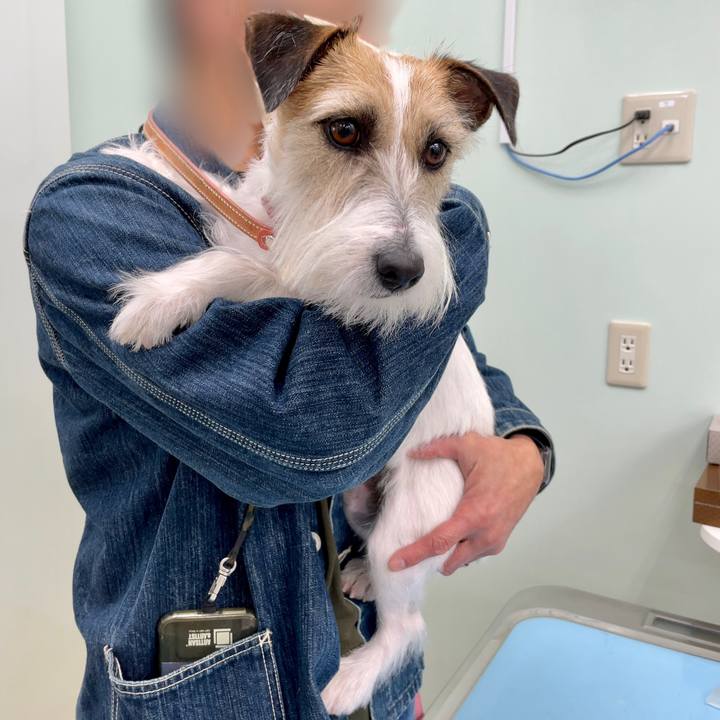 F4a2bbd1 f46d 4b26 93b3 d5058e42eaea 1677495277124